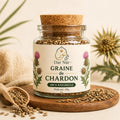 Graine de Chardon — Dar Nūr