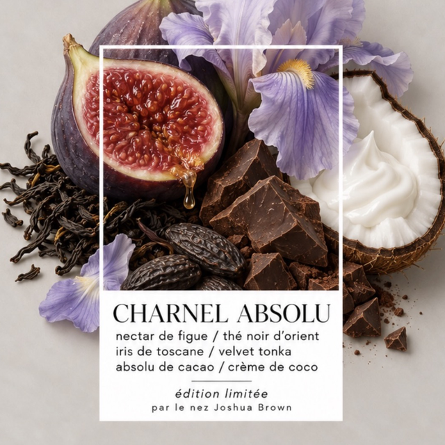 Charnel Absolu — Dar Nūr