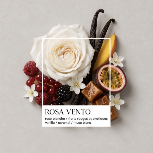 Rosa Vento — Dar Nūr