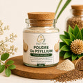 Poudre de Psyllium — Dar Nūr